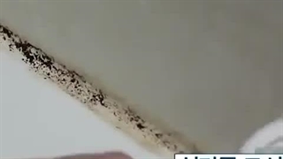 فرچه مجیک براش
