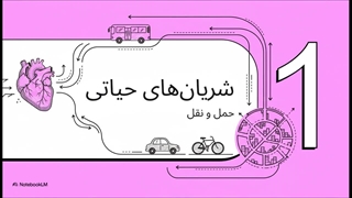 آشنایی_با_محله_امیرآباد