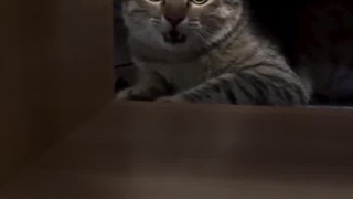 مامان ولممممم کنننننن