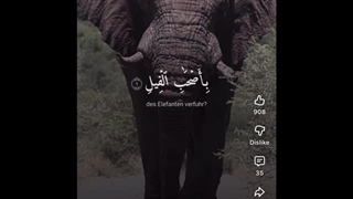 نفرینی که امام(ره) شاه را با آن تهدید کرد! و داستان شروع محبوبیت امام در بین مردم!