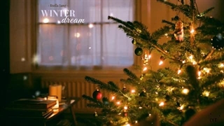 متن آهنگ Winter Dream از Stella Jang