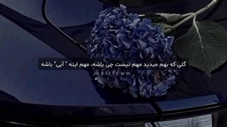 تولد مبارک ...