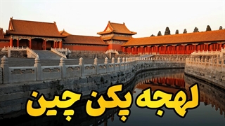 مثل یک پکنـی صحبت کن!