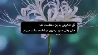 کپشن مهم
