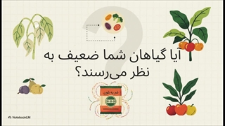 رمزگشایی از کود سه بیست