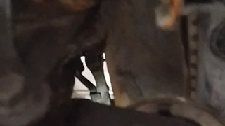 صدای خاص موقع ترمز گرفتن در پراید