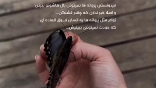 نیکولای داداشی تولدت پیشاپیش مبارک