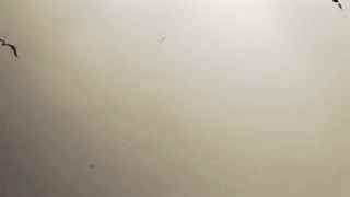 مهدی خسروی شعر جنگ