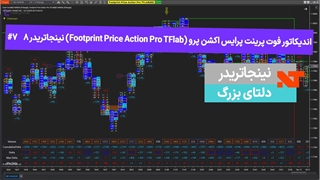 اندیکاتور فوت پرینت پرایس اکشن پرو (Footprint Price Action Pro TFlab) نینجاتریدر 8   #7 دلتای بزرگ [تریدینگ فایندر]
