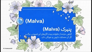 شگفتی_های_درمانی_پنیرک (1)