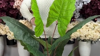 درختچه مصنوعی باباآدم