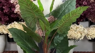 درختچه مصنوعی باباآدم مدل 3 تنه 18 برگ