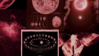 ادیتم از وایبDark Red