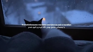 چرا هیچ جا هیچ کس نیست؟