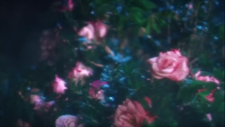 موزیک ویدیو official آهنگ Devilish Girl از Phantom Siita