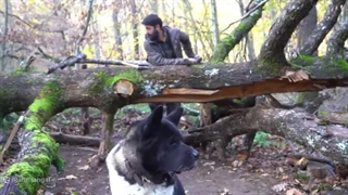 ساخت کلبه زیبای چوبی جنگلی برای کمپینگ و آرامش در طبیعت