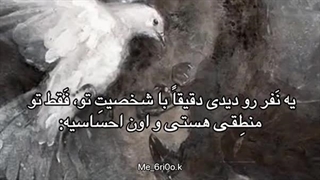 یه نفر دقیقا با شخصیت خودت ولی تو منطقی و اون احساسی