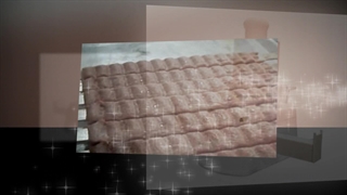 از کجا دستگاه سیخ گیر بخریم؟ فروشگاه تجهیزات