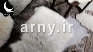 انواع محصول با پوست گوسفند برای دیزاین و دکوراسیون