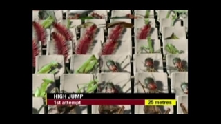 Animal games المپیک حیوانات