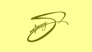دل تنگی و شروع دوباره