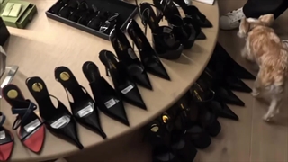 My dream job : , دختری باش که سخت به دست بیاد نه به راحتی , کپــــ