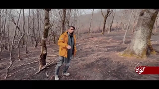 14041018: آتش سوزی عمدی جنگل های رودبار همزمان با شروع اغتشاشات