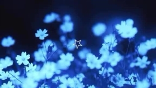 ـ