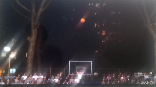 سمم (پرتاب از ۱/۴ زمین بود قبل از وسط) (عکسه منو یاد رئیس خوک ها توی انگیری بردز میندازه خخخ)