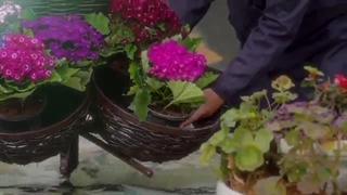 نماهنگ شمیم گل با نوای حاج علی ملائکه به مناسبت میلاد امام حسین علیه السلام