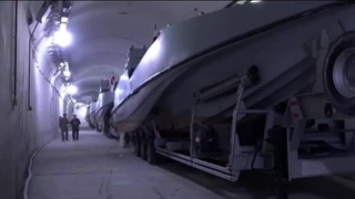 14041111: از زنبورهای سرخ خلیج فارس چه می‌دانیم