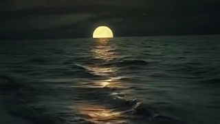 عمر من انگار که کوتاه ترست