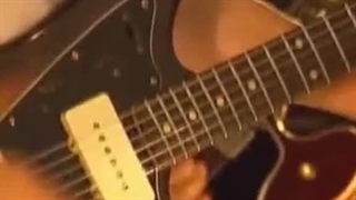 “میمون های قطب شمال”