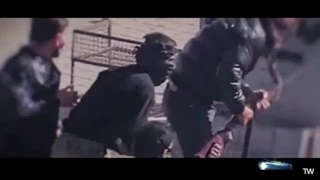 14041113: روش کار بهائی‌ها؛ جذب تروریست از پارتی‌!