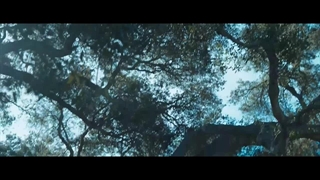 فیلم هنرمند درجه یک زیرنویس