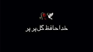 مهدی دارابی گل پر پر