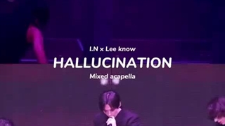 lee know & I.N Hallucination