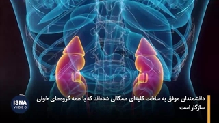 پایان انتظارهای مرگبار؟ پیشرفت بزرگ در پیوند کلیه