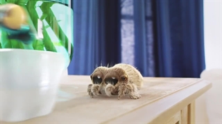 S01E10E11-Sliding - Spinning Webs