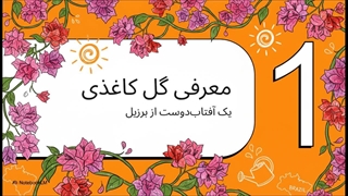 مراقبت_از_گل_کاغذی