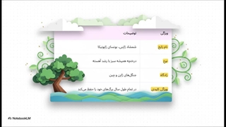 راهنمای_کامل_بونسای_ژاپونیکا