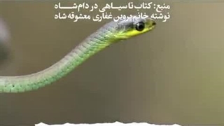 شجاعت امام خامنه ای و ترس رضا پهلوی