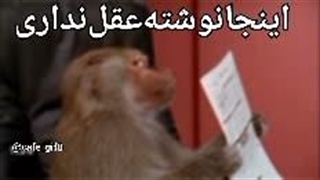 گیف تخریب