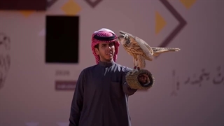 جشنواره شاهین‌بازی