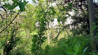 پس از نوروز