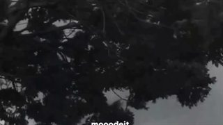 آسمان بارانی
