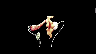 Pink Floyd - Empty Spaces ( Slowed Reverb ) - کند شده، پژواک