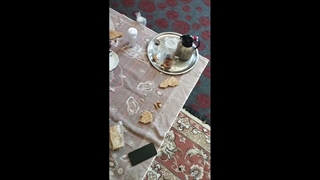 صبحانه