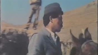 گریز از شهر 2