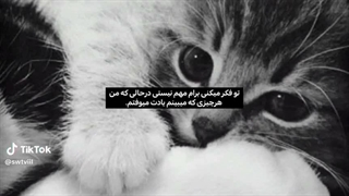 هعیی...